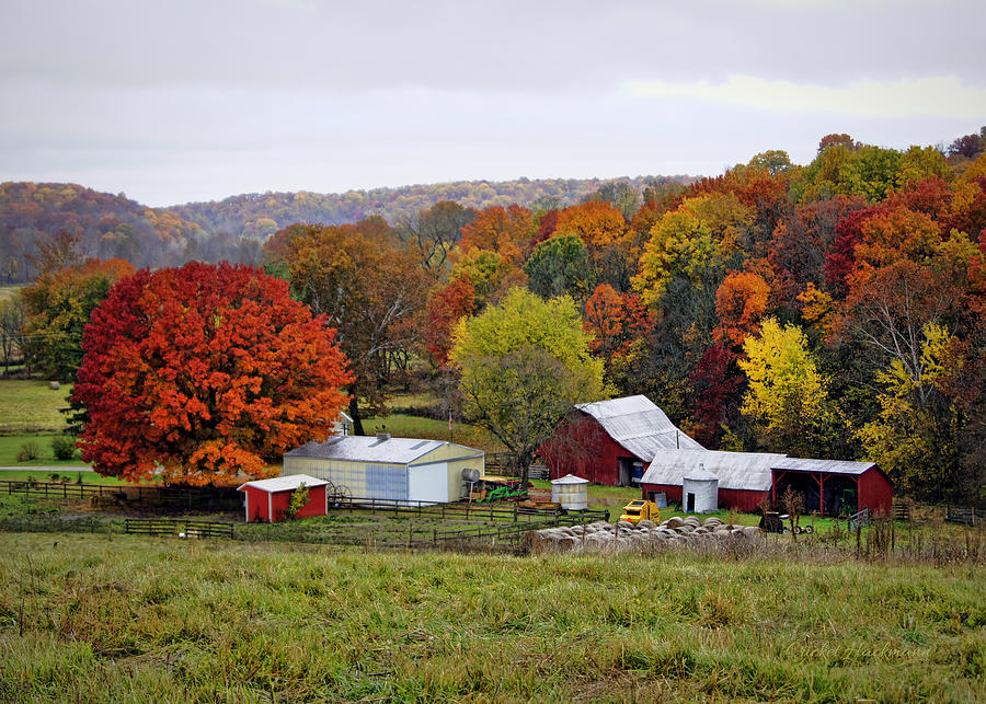 Fall Farmstead Photograph by Cricket Hackmann