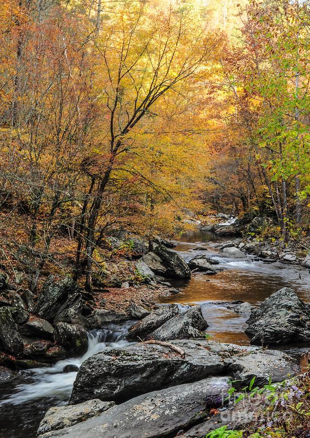 Fall Mountain Stream Photograph By Debbie Green
