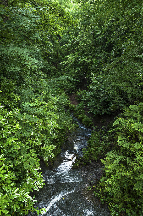 Fast River Photograph By Svetlana Sewell Fine Art America