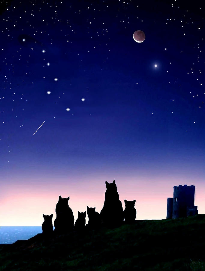  - fiona-and-fergus-with-kitten-star-gazing-over-the-irish-sea-kathleen-horner