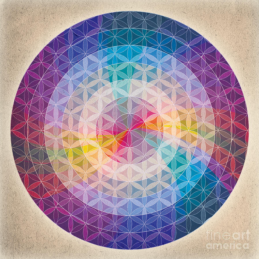 Flower Of Life Mandala Digital Art by Soulscapes Healing Art