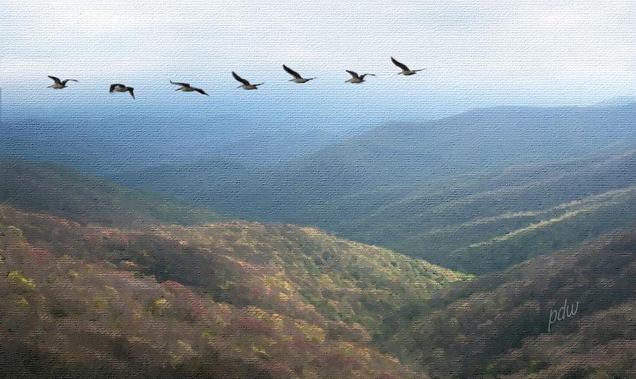 flying south for the winter mixed media by philip white flying south for the winter mixed media by philip white