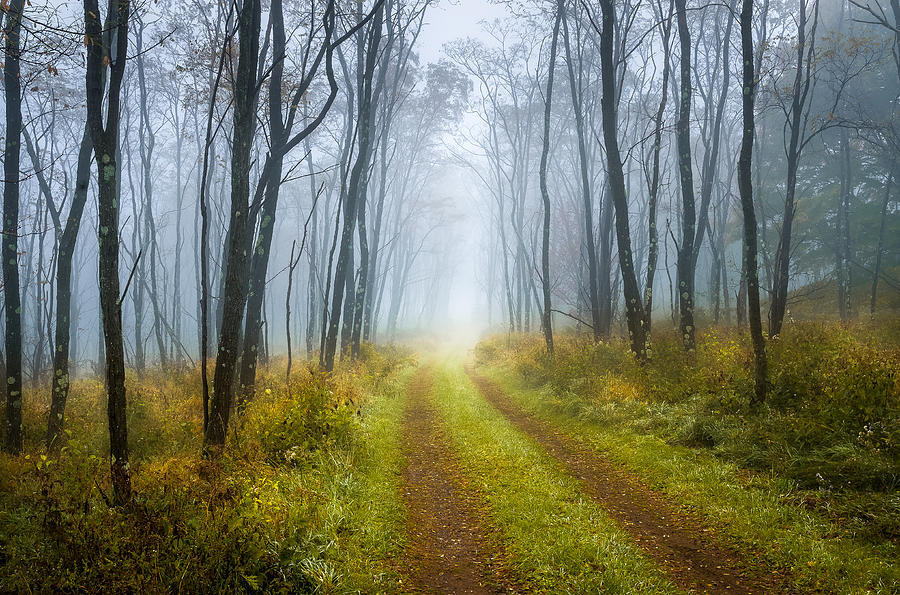  - foggy-dolly-sods-west-virginia-appalachia-john-messner