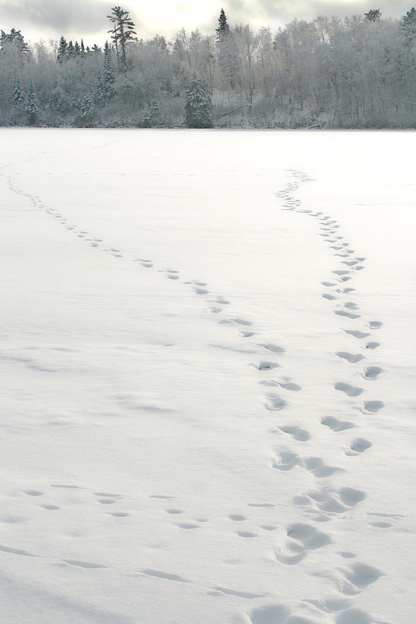 Foot Steps