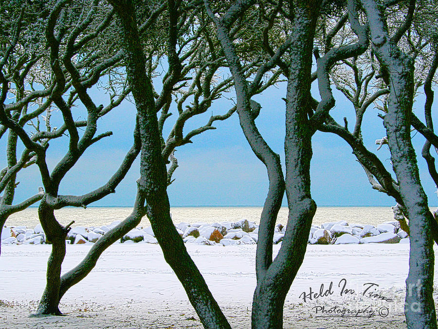  - fort-fisher-snow-marie-kirschner