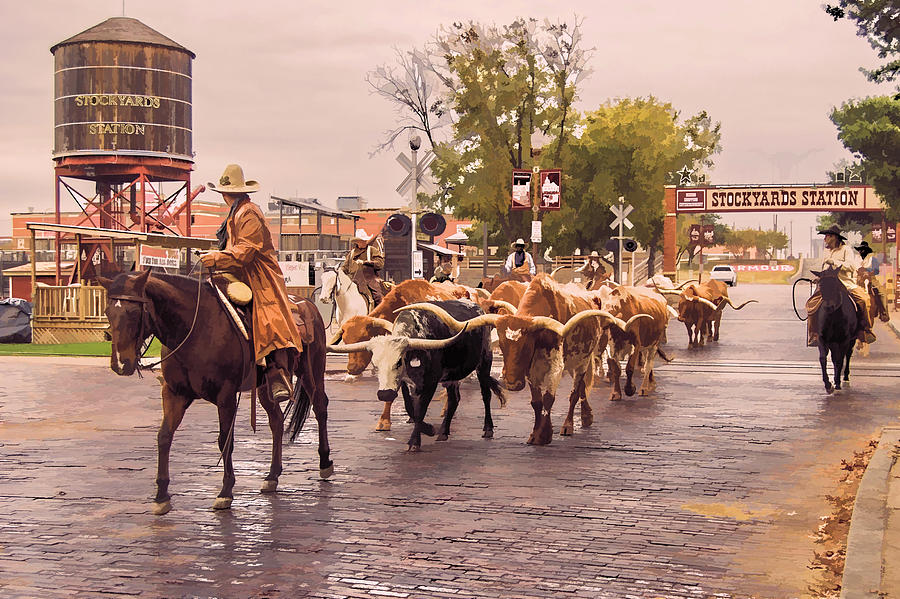 Fort Worth Cattle Drive Photograph By Ray Summers Photography