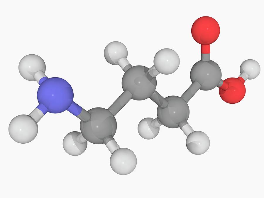 Gamma Aminobutyric Acid Gaba Molecule Photograph By Laguna Design