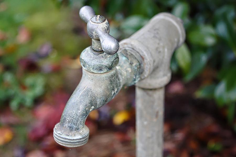 Garden Faucet by Cathie Tyler