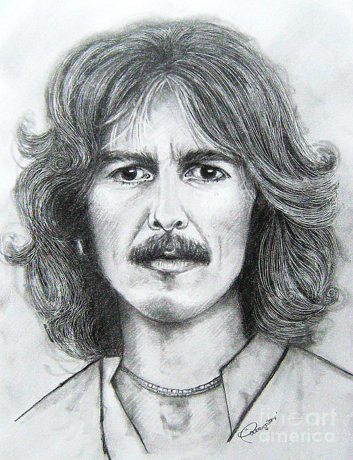 Harrison Drawing by Patrice Torrillo