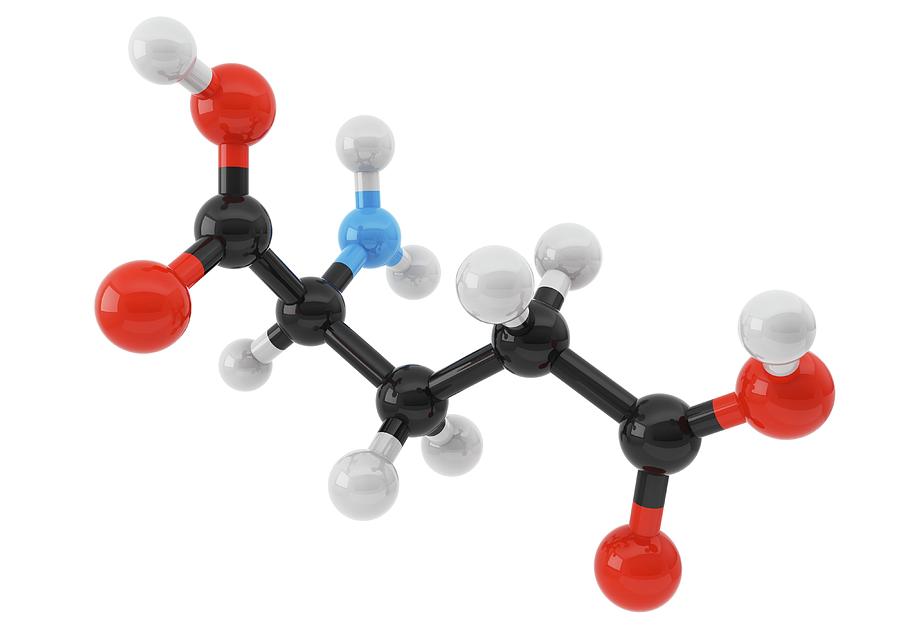 Глутаминовая кислота структурная формула картинка