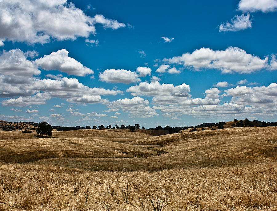  - golden-hills-rebecca-gonzalez