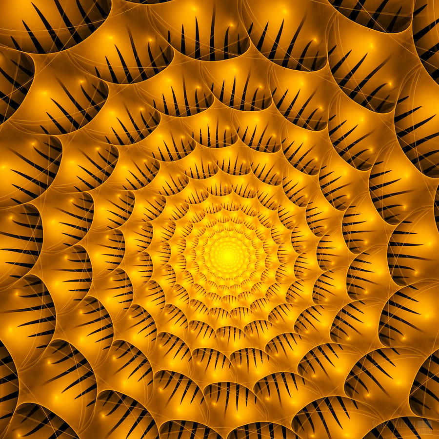 golden spiral