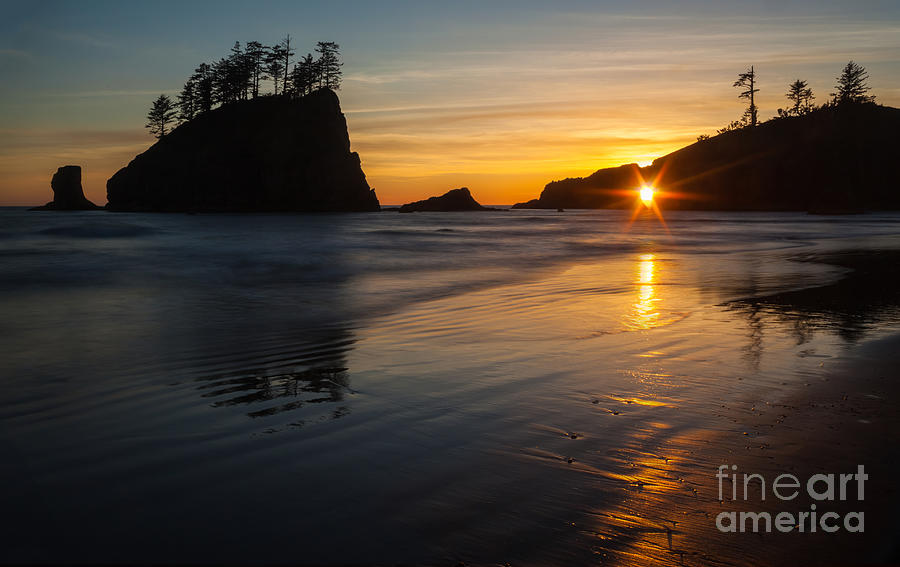 Download this Golden Washington Coast Evening Photograph picture