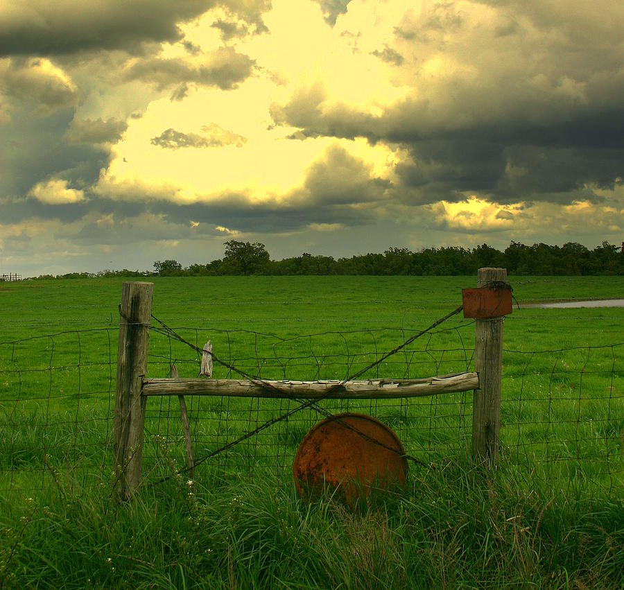  - good-fences-robert-shinn