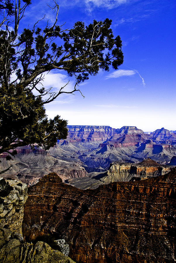  - grand-canyon-james-black