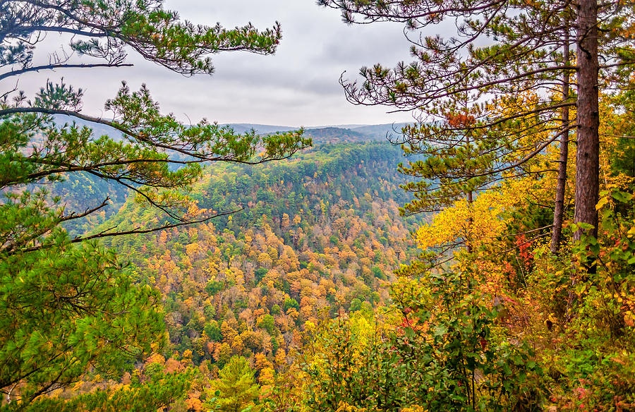 Grand Canyon Of Pennsylvania Photograph by Steve Harrington