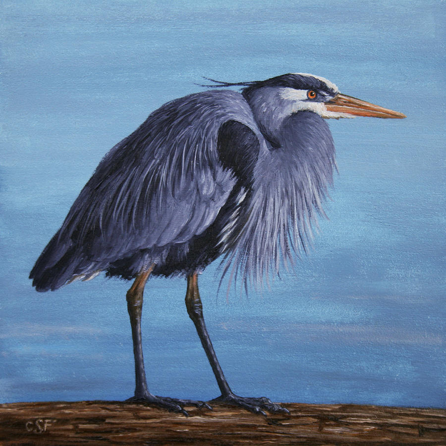 Great Blue Heron Painting by Crista Forest