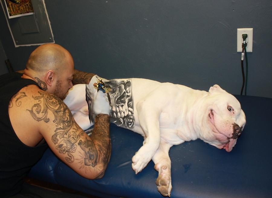 Татуировка собака и человек