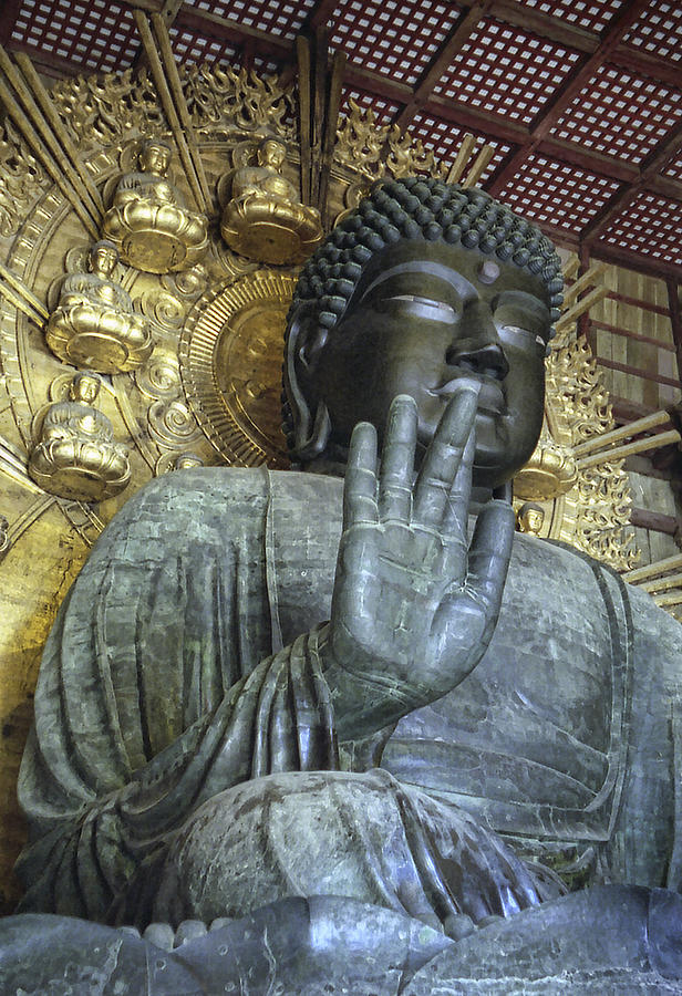 Great Buddha Of Nara Japan Photograph By Daniel Hagerman