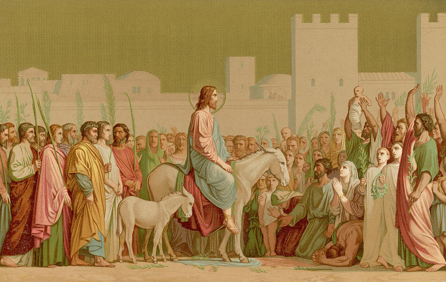 He Rides Into Jerusalem On A Donkey Drawing By Mary Evans Picture Library