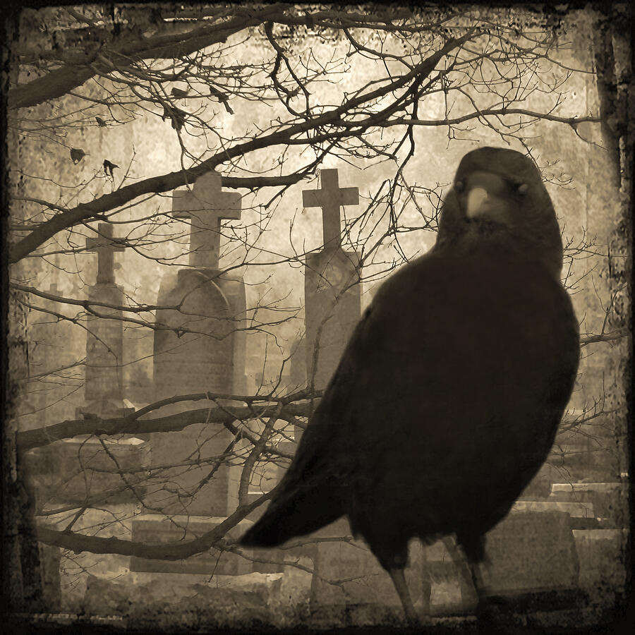 Черный ворон на кладбище