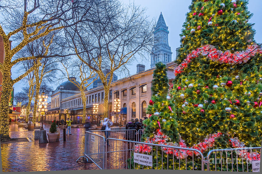 Holiday Lights At Quincy Market by Susan Cole Kelly