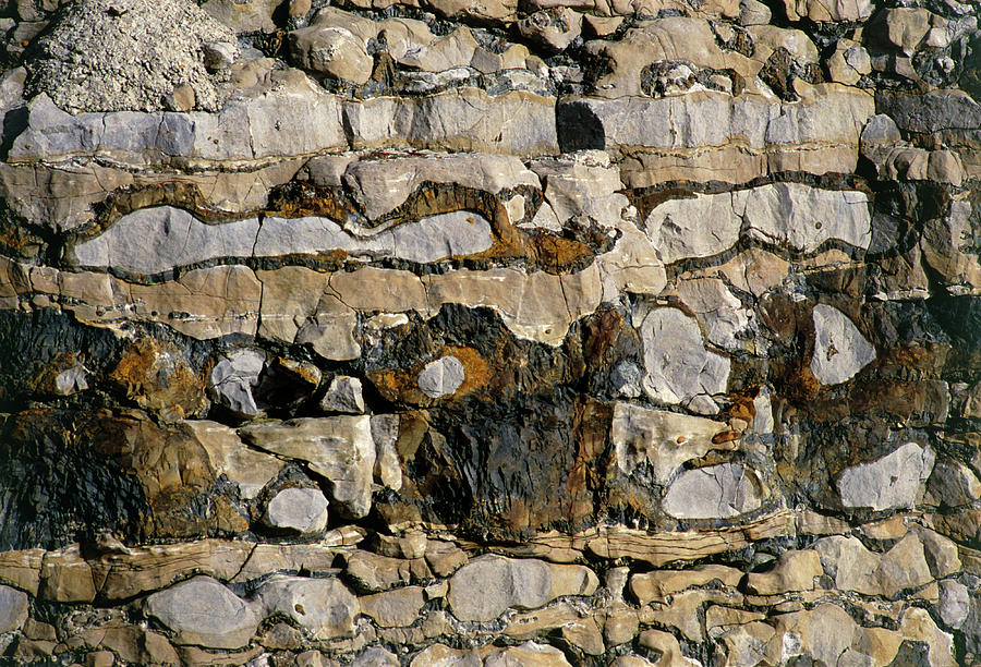 Horizontal Strata In A Limestone Cliff Photograph By Dr Morley Read