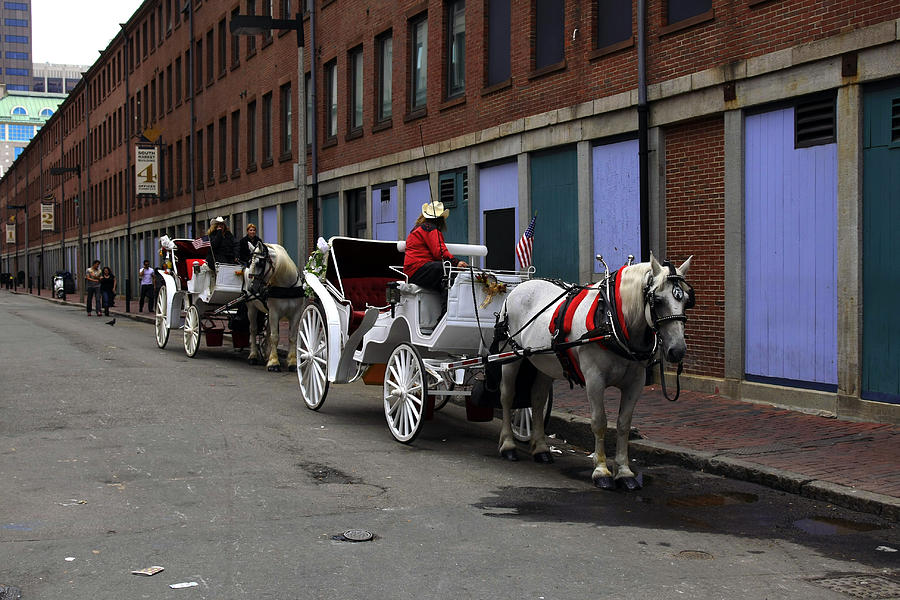  - horse-and-buggy-david-decenzo