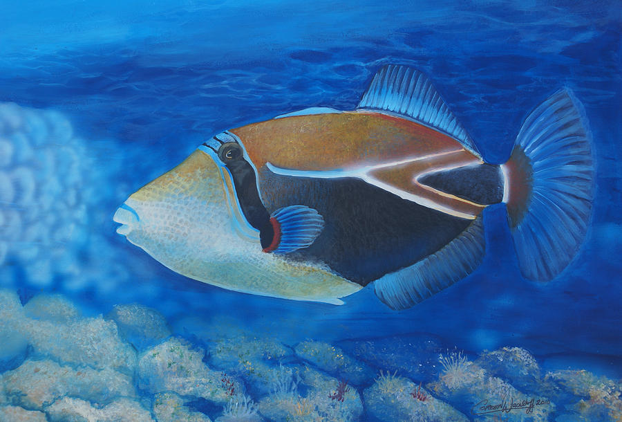 Humuhumunukunukuapua'a Painting By Coreen Wasilkoff