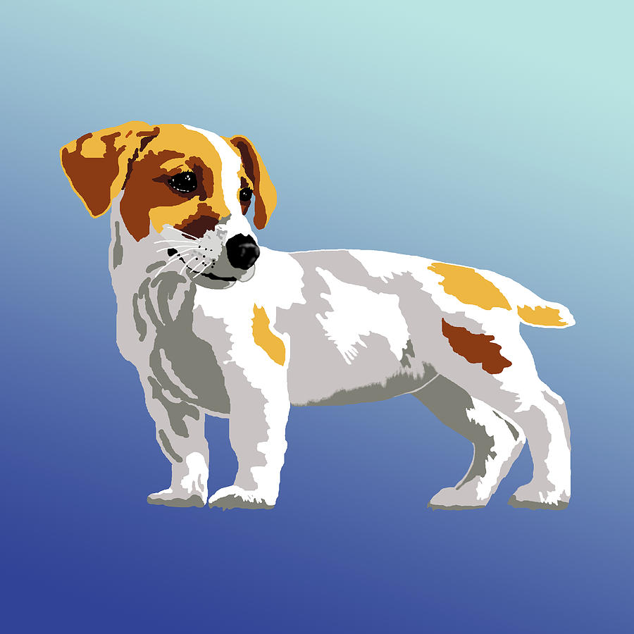 Jack Russell Terrier Digital Art