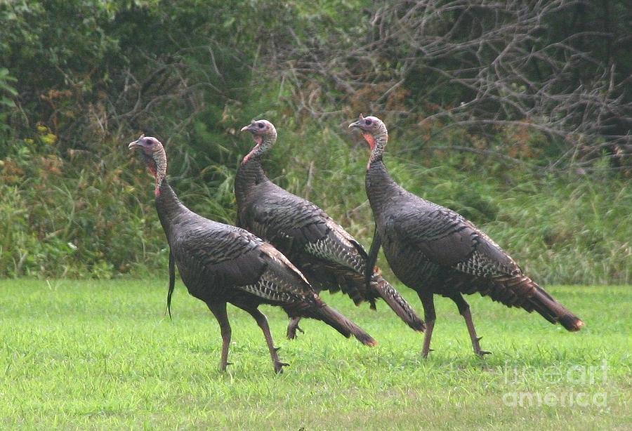 Restaurants open on thanksgiving in boston ma