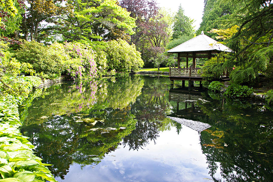 Japanese Garden Pond Photograph By Marilyn Wilson