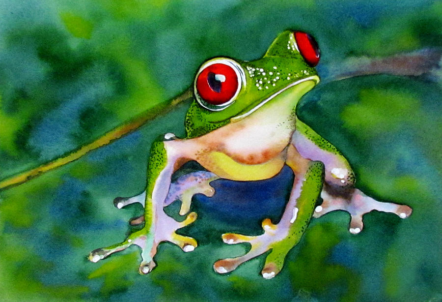  - joe-the-red-eyed-tree-frog-susan-duxter