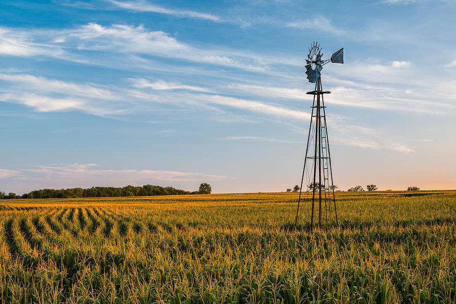 Kansas Summer by Michael Strickland