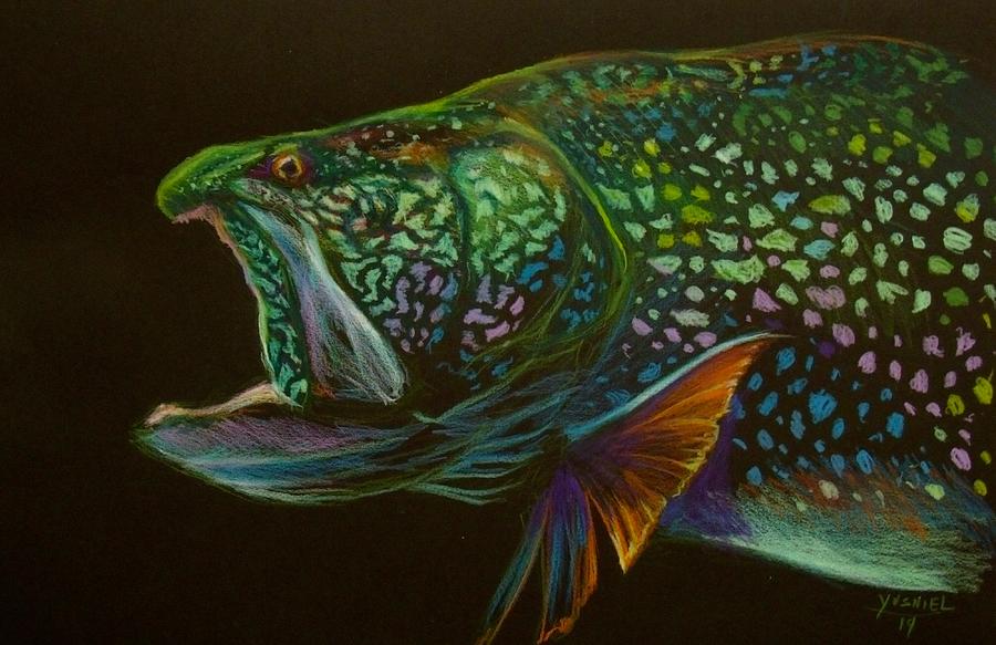 Lake Trout Portrait Drawing By Yusniel Santos