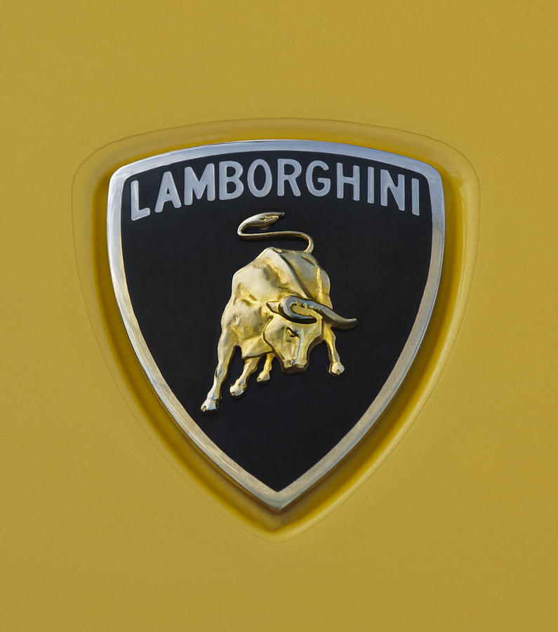 Lamborghini Emblem 2 Photograph by Jill Reger