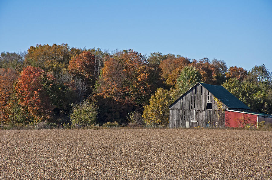  - lapeer-road-barn-ginger-harris