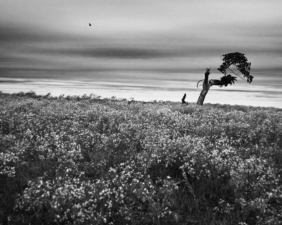 Light And Dark Monochrome Nature And Landscape Photography Photograph