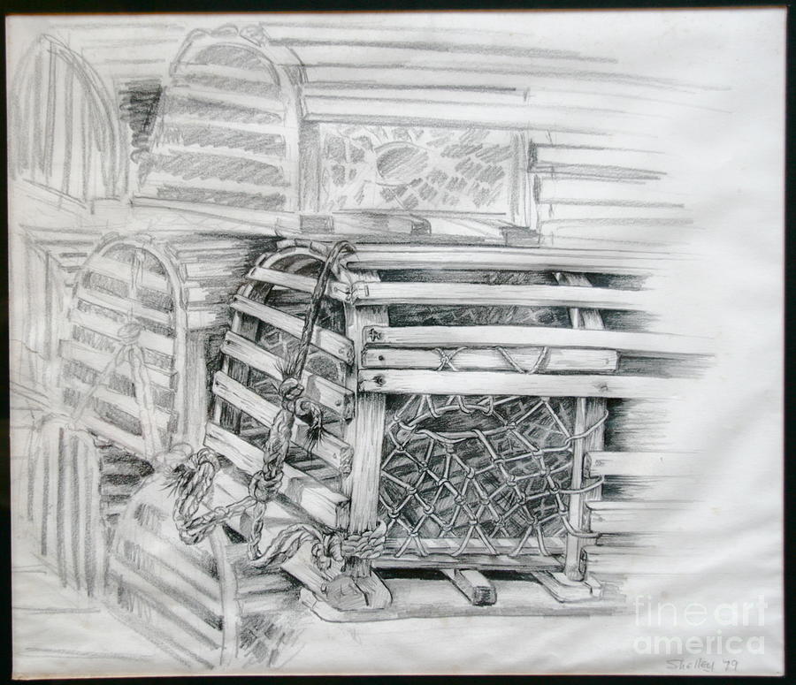 Lobster Traps Drawing by Shelley Phillips