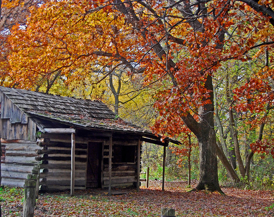 Log Cabin With Colorful Maple Tree Photograph - Log Cabin With Colorful 