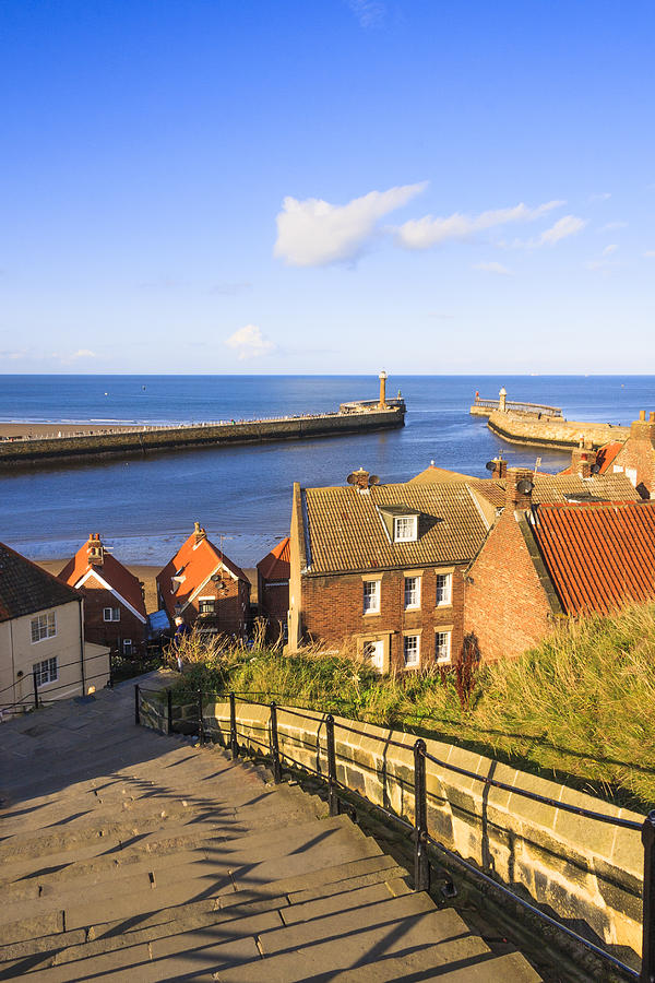  - looking-over-whitby-susan-leonard