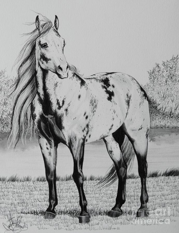 Loud Paint Horses Drawing by Cheryl Poland