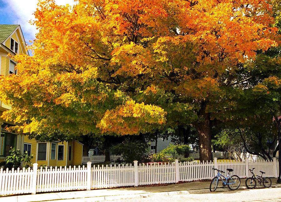 Mackinac Island Fall Colors Photograph by Craig Rea