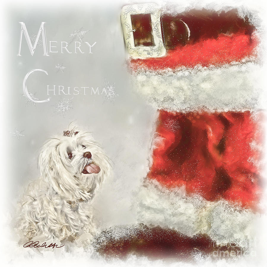 Maltese Merry Christmas Mixed Media Maltese Merry Christmas Fine Art