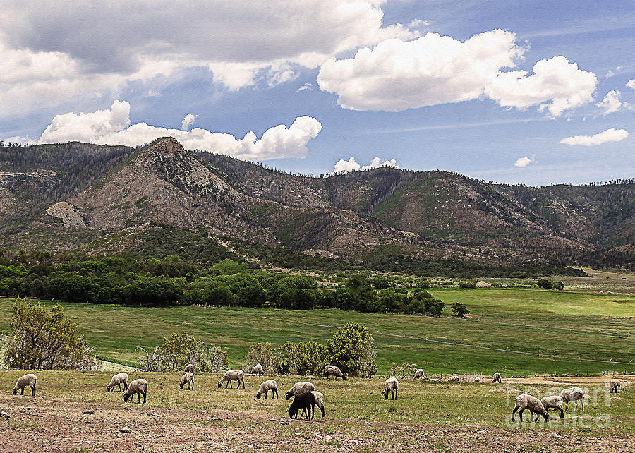 Mancos Colorado Landscape IIi by Janice Rae Pariza