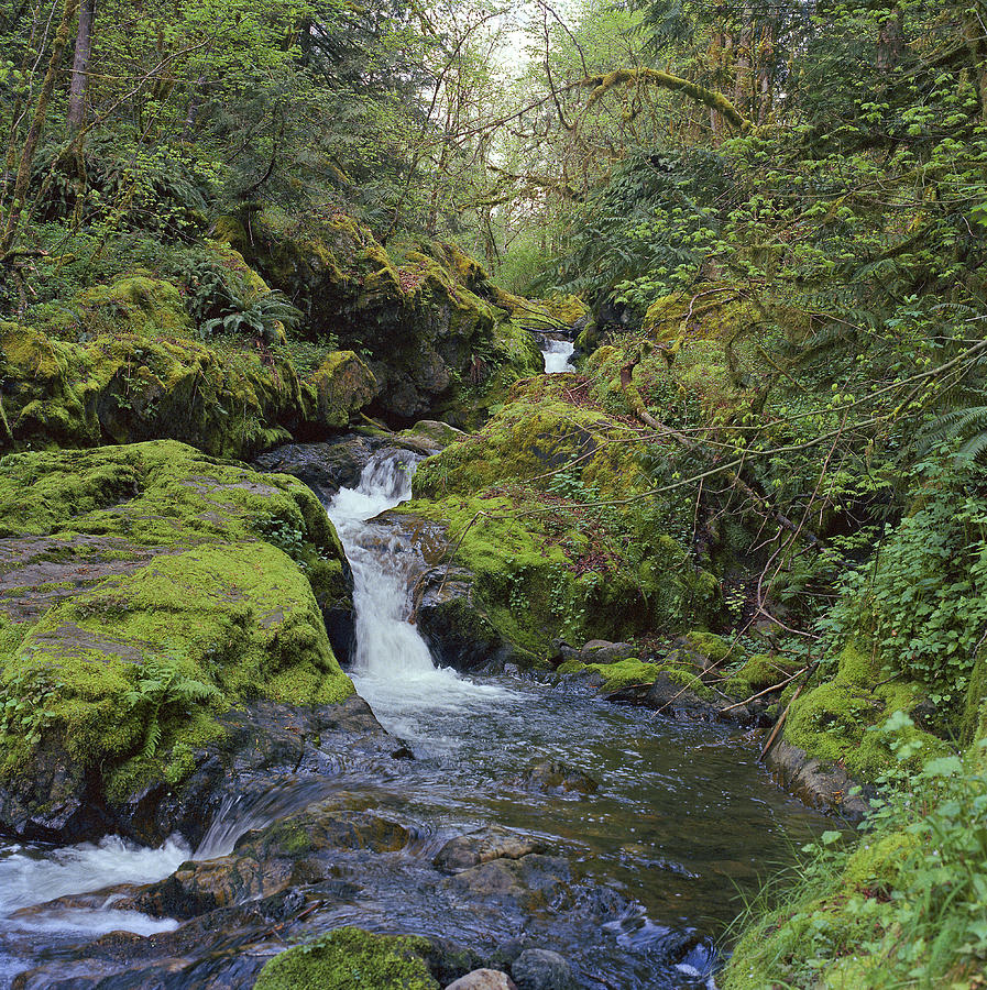  - maple-falls-washington-usa-len-harrison