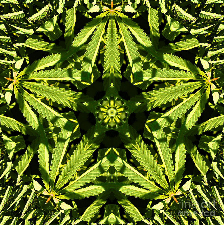 marijuana-mandala-michelle-smith.jpg