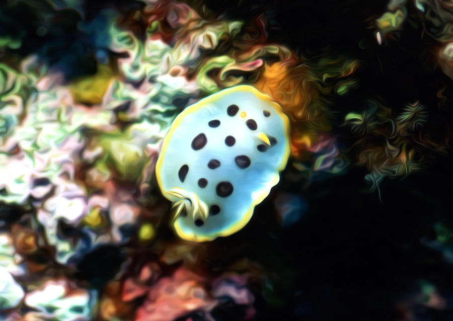 Marine Biology subject of arts Marine Biology subject of arts