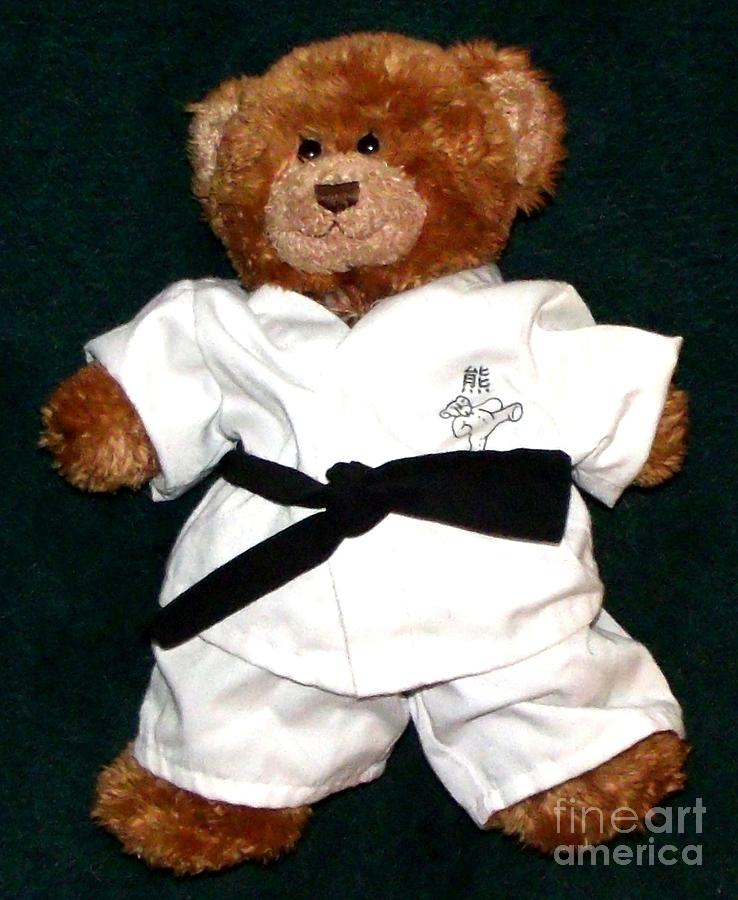 teddy bear karate outfit