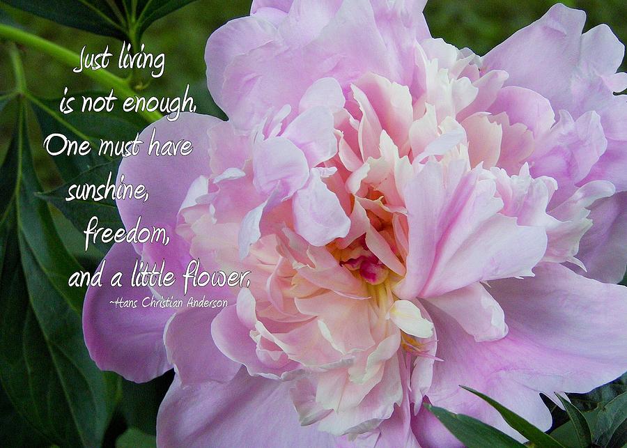 images.fineartamerica.com/images-medium-large-5/melissas-flower-quote-jamart-photography.jpg